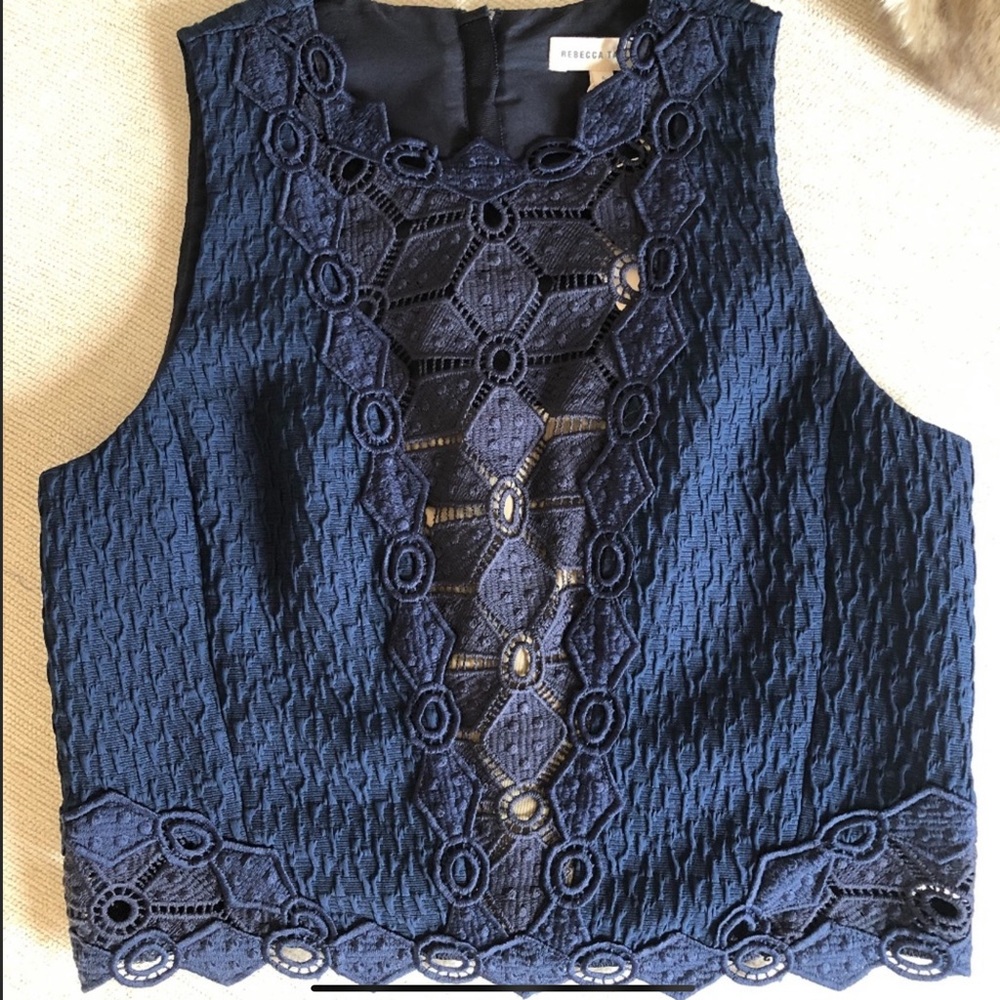 Rebecca Taylor Lace Dia Skirt and Crop Top
